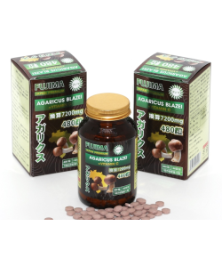 アガリクス+ビタミンC（40日分）