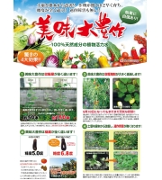 藤間大宝作GT-S(1リットル)