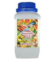 藤間大宝作GT-S(1リットル)